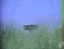 Summer Babe Vibes GIF