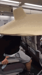 Summer Cap Hat Big Plane GIF