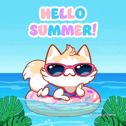 Summer Summer Vibes GIF