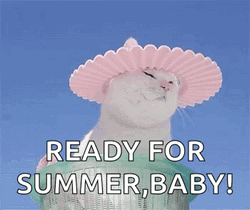 Summer Time Baby Cute White Cat GIF