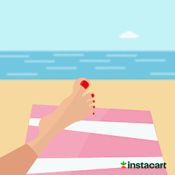 Summer Time Beach Slipper Vacation GIF