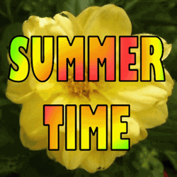Summer Time Neon Color  Logo GIF