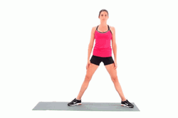 Sumo Squat Fitness Exercise GIF