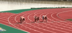 Sumo Wrestlers Racing GIF
