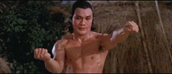 Sun Chien Martial Art Training GIF