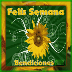 Sun Flower Feliz Semana Bendiciones Sticker  GIF
