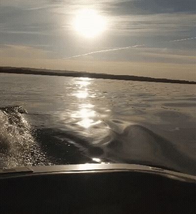 Sun Reflection On Water With Boat GIF