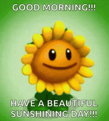 Sun Shining Day Sunny Saturday GIF