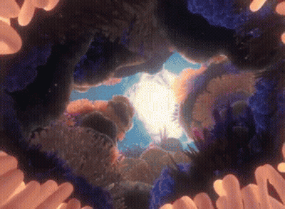 Sun Shining Through Corals In Ocean GIF