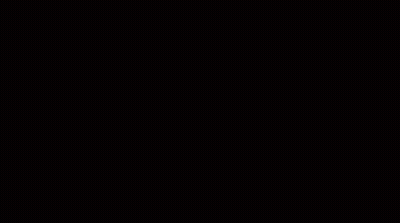 Sun Shining Through Flags With Barlowwinnett.com Banner GIF