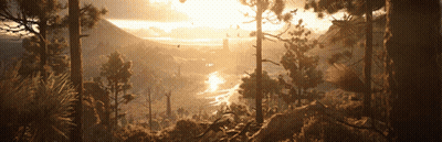 Sun Shining Through Trees In Mountains GIF