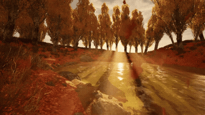 Sun Shining Through Trees On Shore GIF