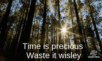 Sun Shining Through Trees Time Is Precious Waste It Wisely GIF