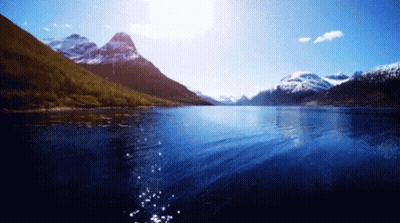 Sun Shining Through Trees With Floating Log GIF