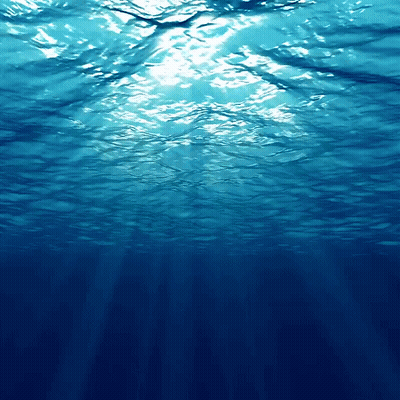 Sun Shining Through Water GIF