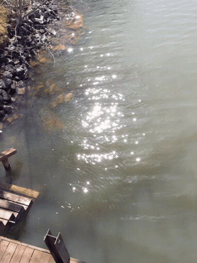 Sun Shining Through Water By Wooden Pier GIF
