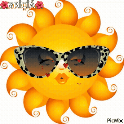 Sun Wearing Sunglasses With Fricia GIF