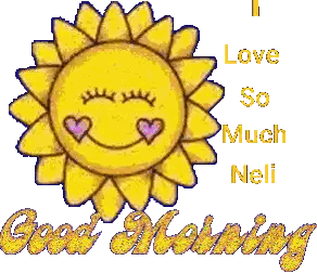 Sun With Hearts Eyes Saying I Love Neli Sticker
