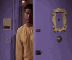 Sunburn Friends Ross Geller GIF