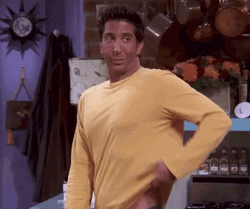 Sunburn Mark Ross Friends  GIF
