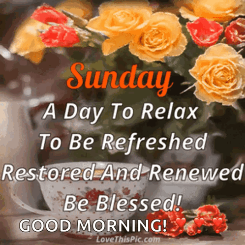 Sunday A Day To Relax To Be Refreshed Restored And Renewed Be Blessed ! Good Morning ! GIF