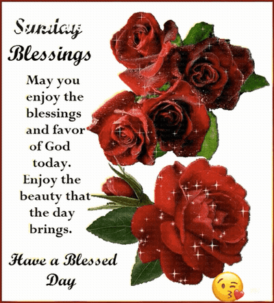 Sunday Blessings Card With Red Roses GIF