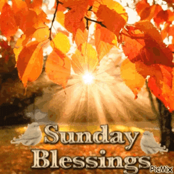 Sunday Blessings GIF
