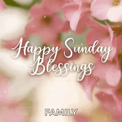 Sunday Blessings Greeting Card With Pink Flowers GIF