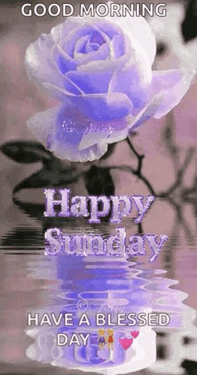 Sunday Blessings Have A Blessed Day Card GIF