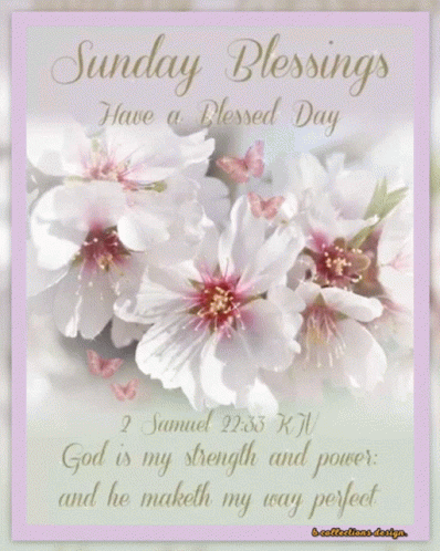 Sunday Blessings Have A Blessed Day Card With Flowers And Butterflies GIF