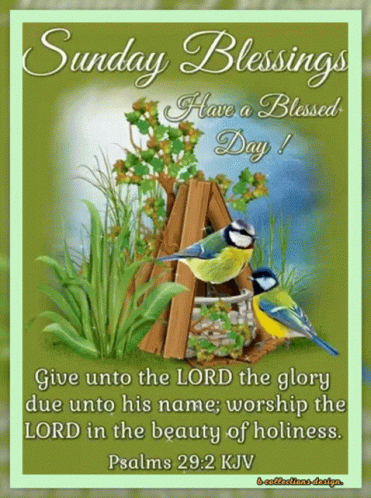Sunday Blessings Have A Blessed Day With Two Birds In A Garden GIF