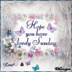 Sunday Blessings Hope Butterflies Dainty Greetings GIF