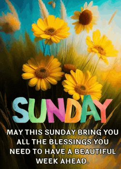 Sunday Blessings Meme GIF
