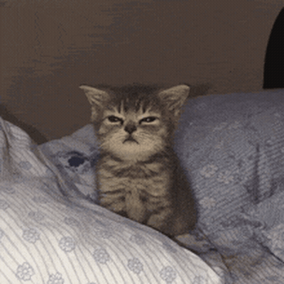 Sunday Blessings Yellow Green GIF