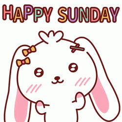 Sunday Funday Cute Bunny GIF