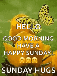 Sunday Funday Morning Hugs GIF
