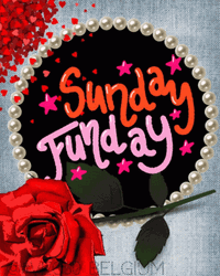 Sunday Funday With Red Rose GIF