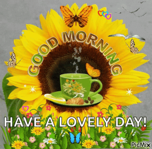 Sunflower Coffee Butterflies Good Morning Have A Lovely Day GIF