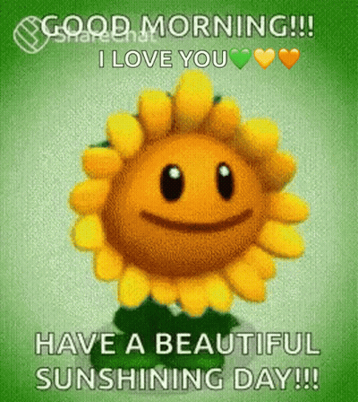 Sunflower Face Good Morning I Love You GIF