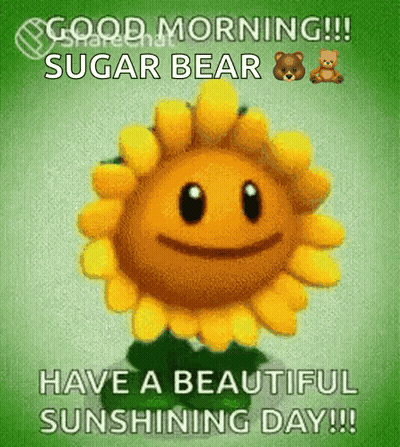 Sunflower Face Saying Good Morning Sugar Bear GIF