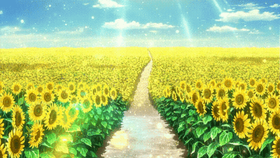 Sunflower Field Path With Sun GIF