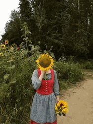 Sunflower Girl Posing