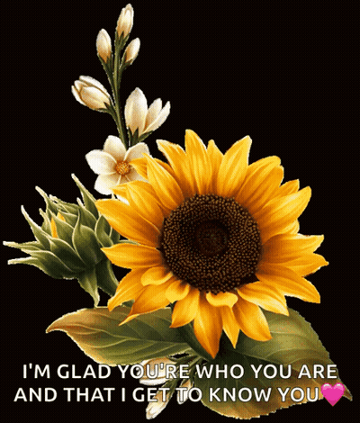 Sunflower I'm Glad You're Who You Are GIF