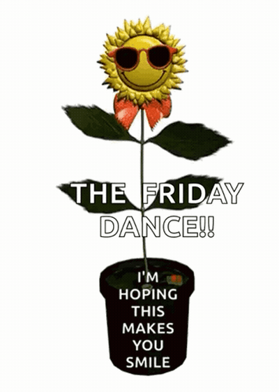 Sunflower In Sunglasses And Bow Saying The Friday Dance GIF