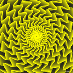Sunflower Optical Illusion