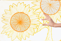 Sunflower Pulling Petal Animation