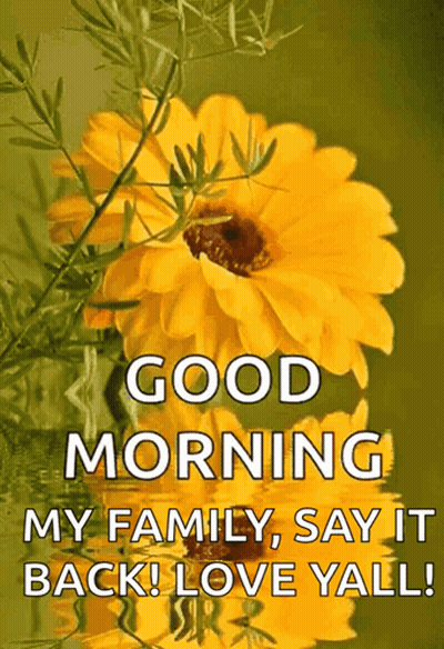 Sunflower Saying Good Morning Love Yall GIF