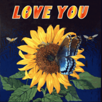 Sunflower With Blue Butterfly Saying Love You GIF
