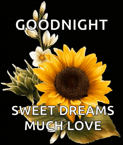 Sunflower With Goodnight Sweet Dreams GIF