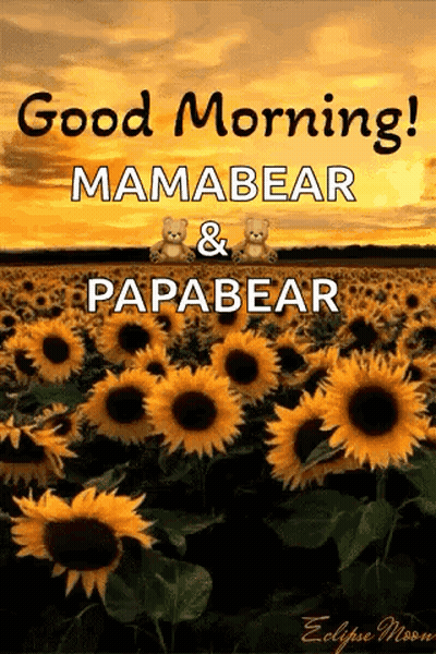 Sunflowers Field Good Morning Mamabear Papabear GIF